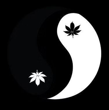 SeaWeedHempCo logo
